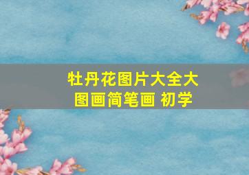 牡丹花图片大全大图画简笔画 初学